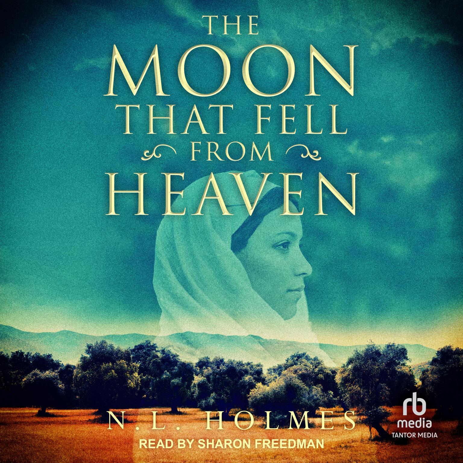 The Moon That Fell From Heaven Audiobook, by N.L. Holmes