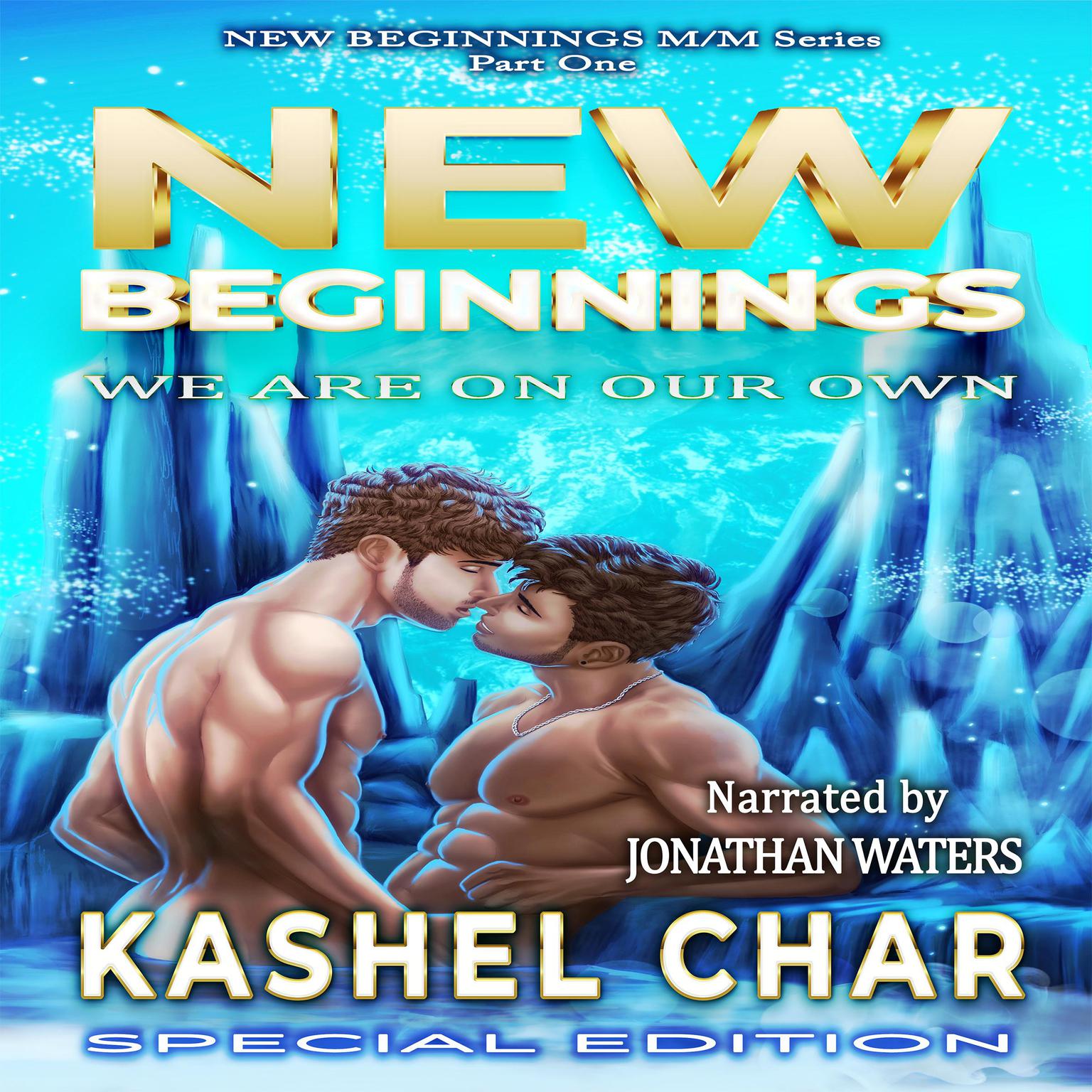 New Beginnings: We Are On Our Own (New Beginnings M/M Series Book 1) Audiobook, by Kashel Char