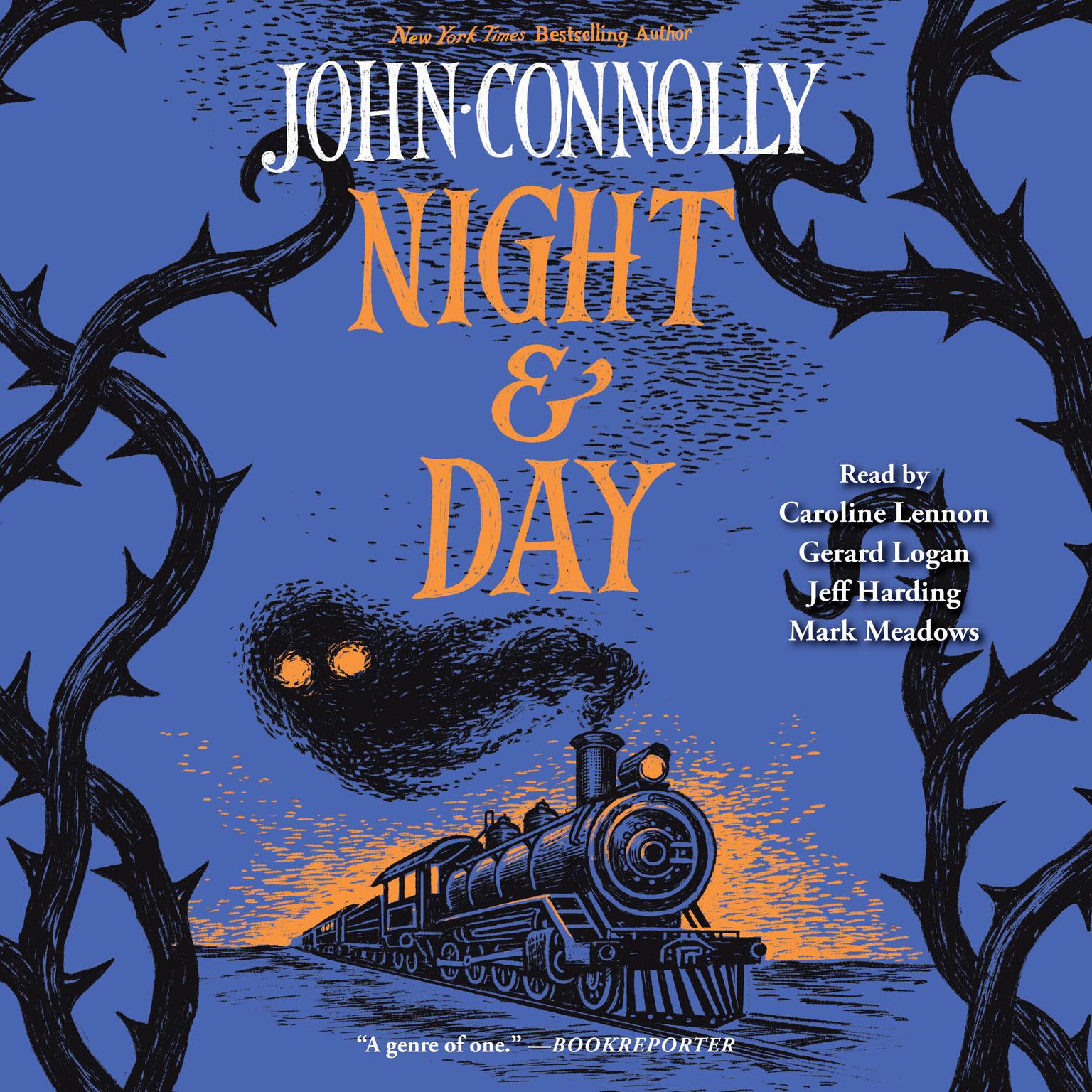 Night and Day Audiobook, by John Connolly