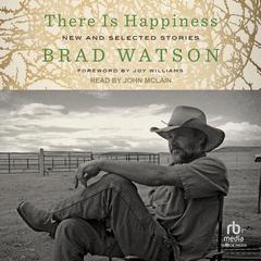 There Is Happiness: New and Selected Stories Audiobook, by Brad Watson