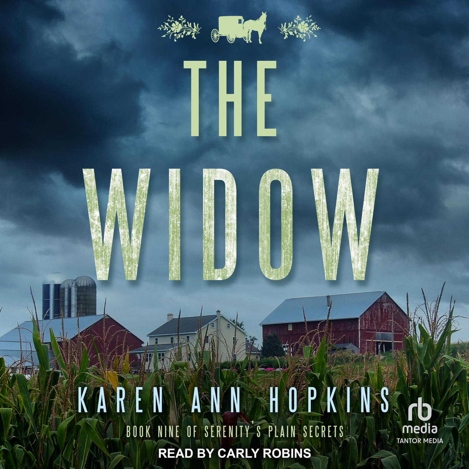 The Widow Audiobook, by Karen Ann Hopkins