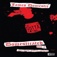 Domesticated Volume Two Audiobook, by James Domestic