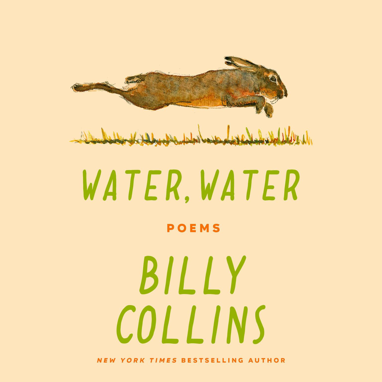 Water, Water: Poems Audiobook, by Billy Collins