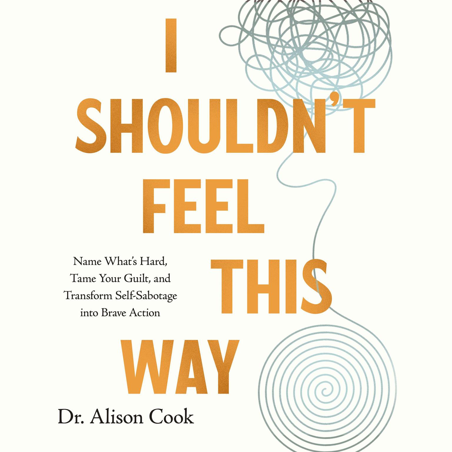 I Shouldnt Feel This Way: Name What’s Hard, Tame Your Guilt, and Transform Self-Sabotage into Brave Action Audiobook, by Alison Cook