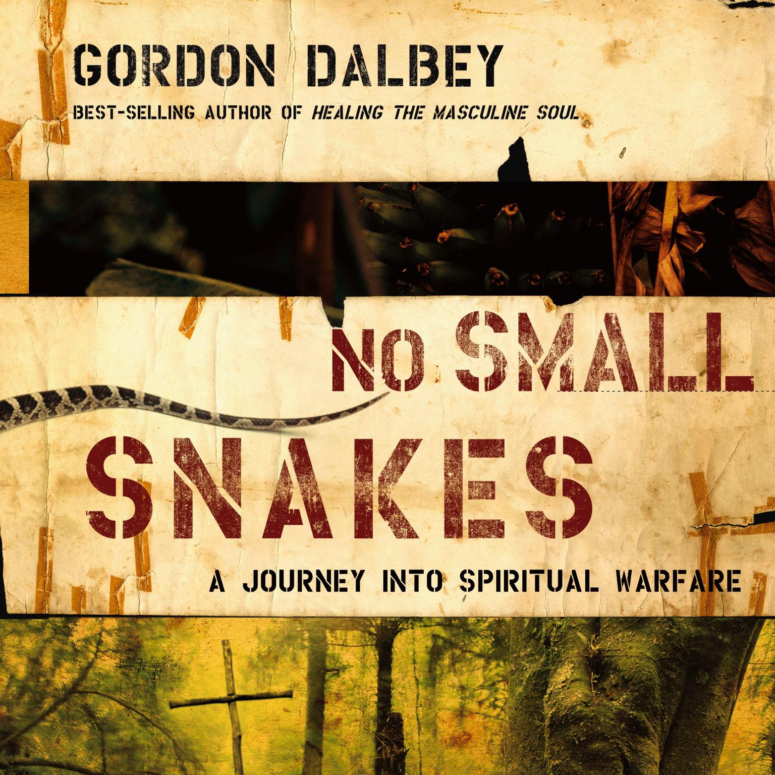 No Small Snakes: A Journey Into Spiritual Warfare Audiobook, by Gordon Dalbey