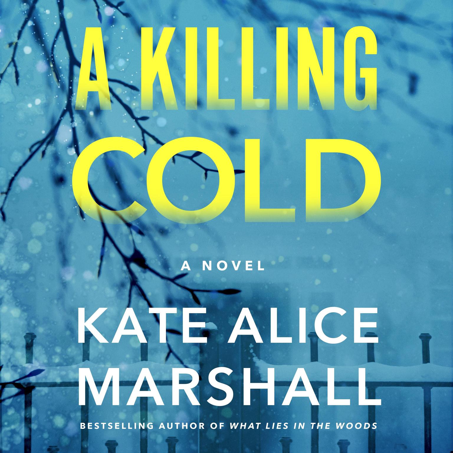 A Killing Cold: A Novel Audiobook, by Kate Alice Marshall