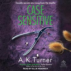 Case Sensitive Audiobook, by A.K. Turner