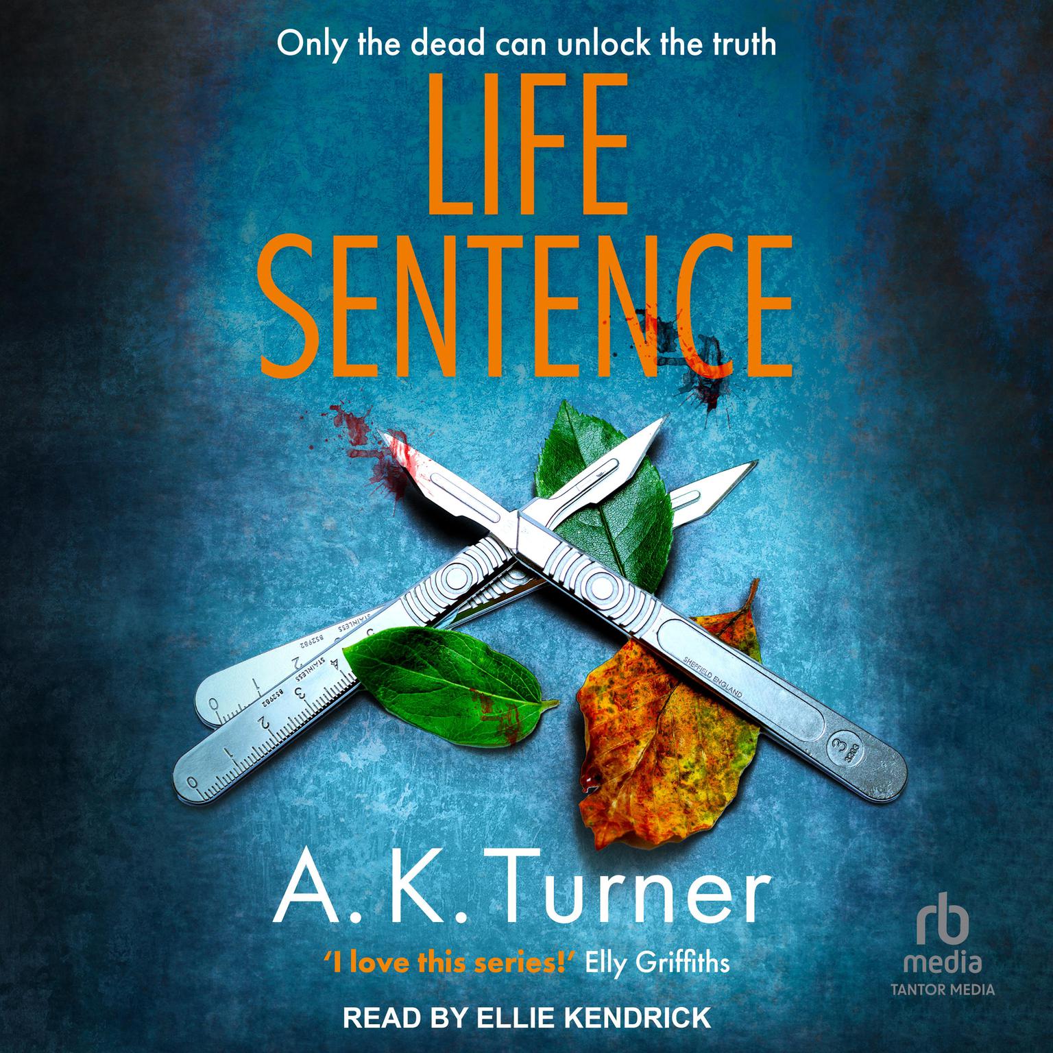 Life Sentence Audiobook, by A.K. Turner