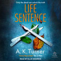 Life Sentence Audiobook, by A.K. Turner