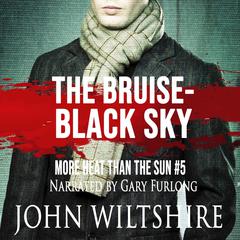 The Bruise-Black Sky Audiobook, by John Wiltshire