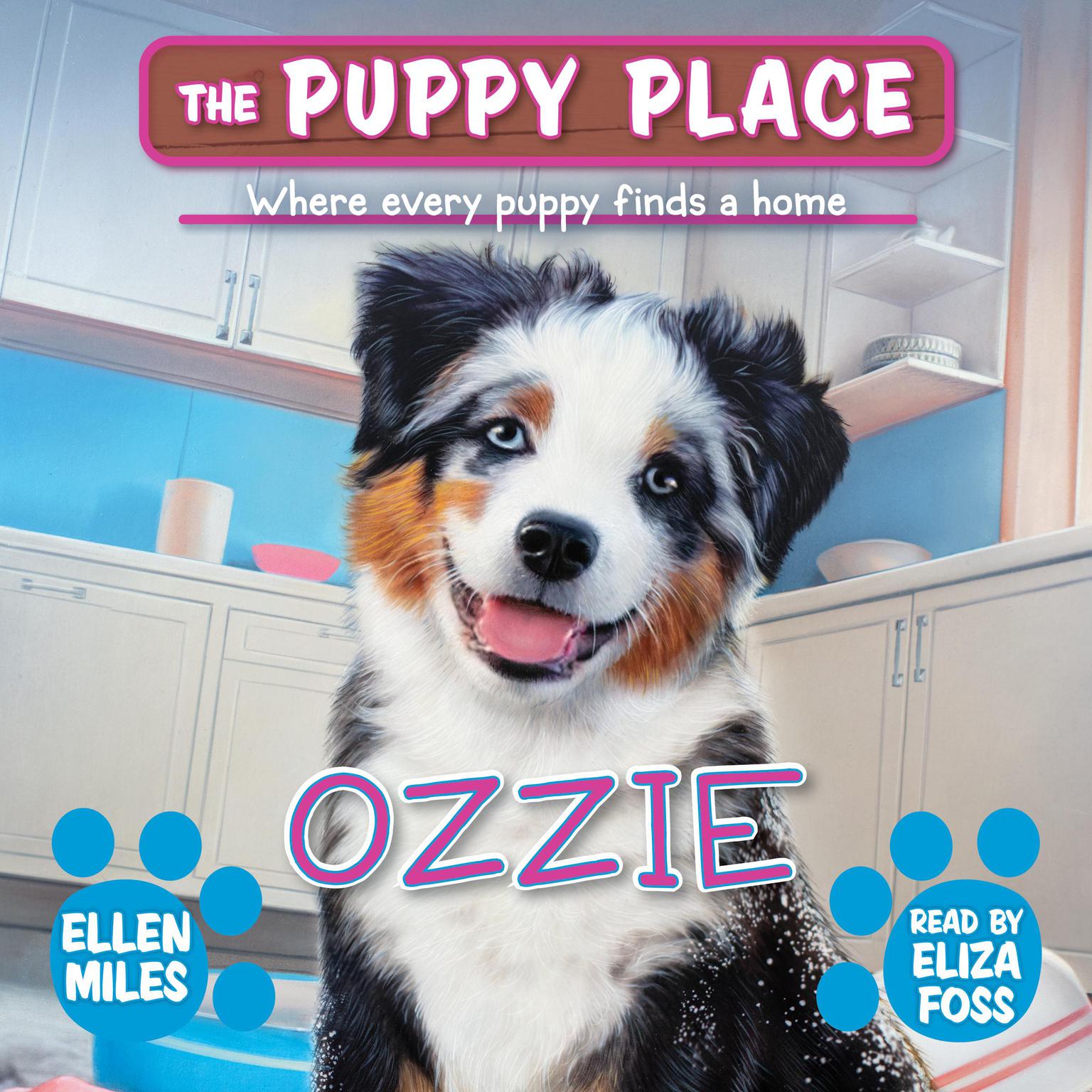 Ozzie Audiobook, by Ellen Miles