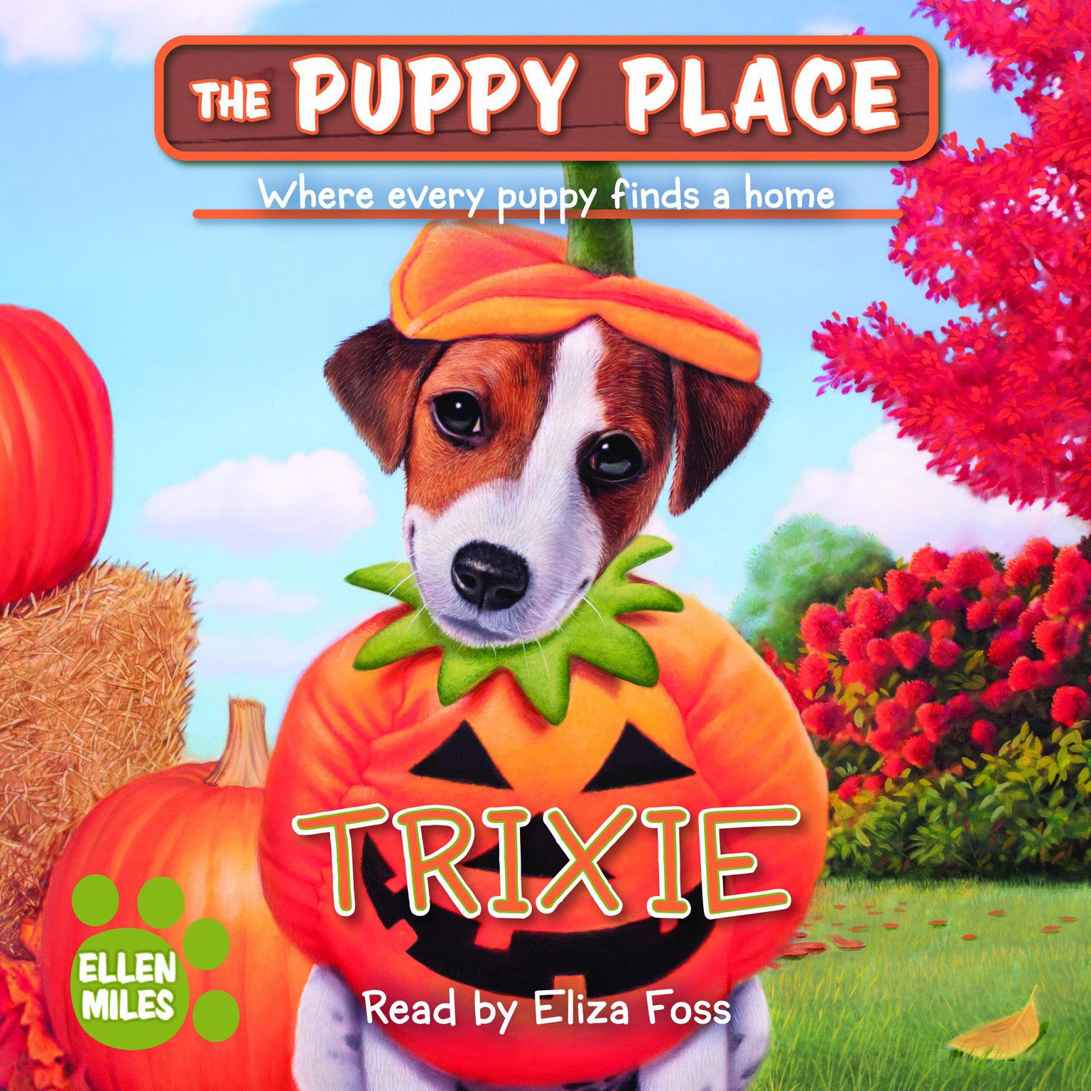 Trixie Audiobook, by Ellen Miles