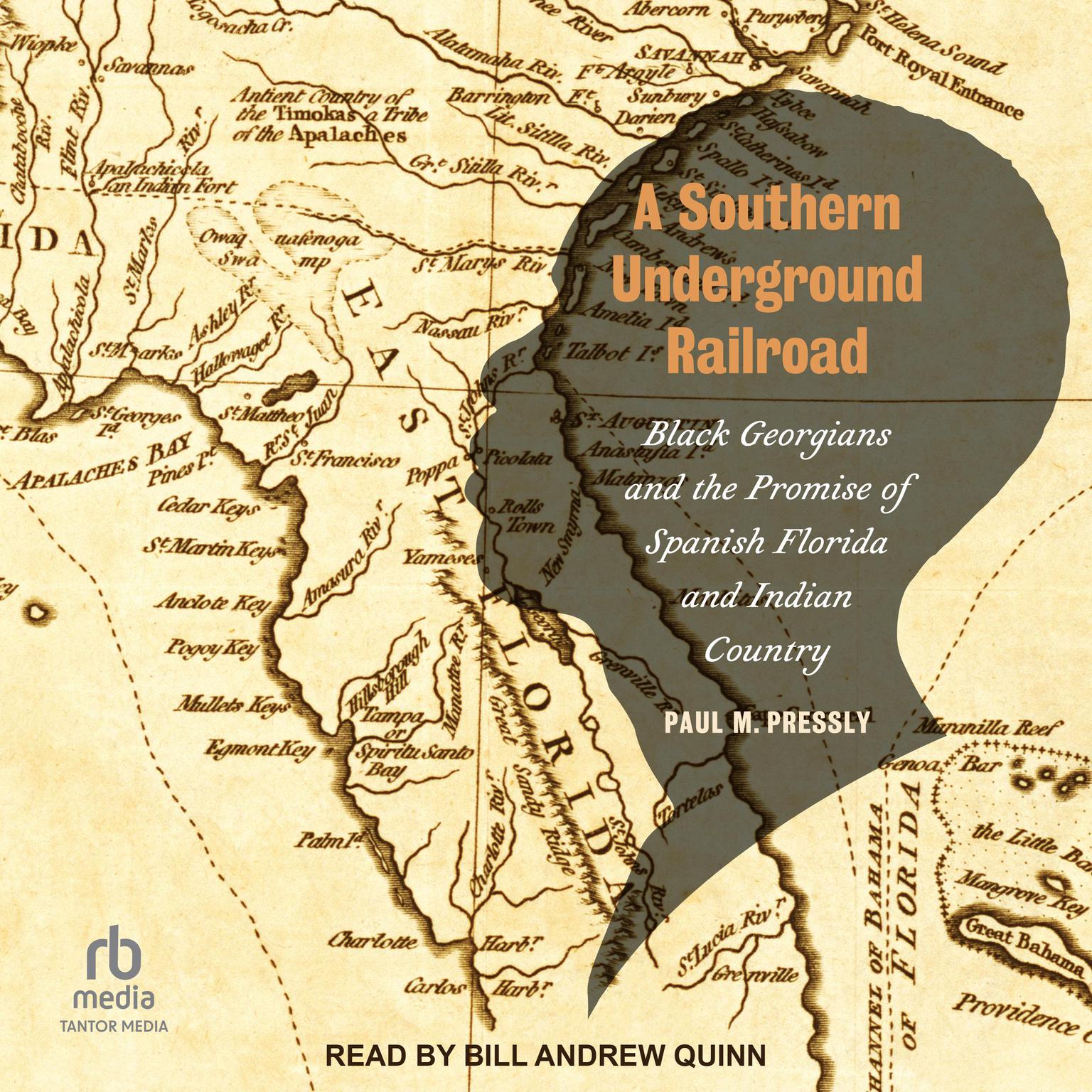 A Southern Underground Railroad: Black Georgians and the Promise of Spanish Florida and Indian Country Audiobook, by Paul M. Pressly