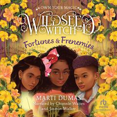 Fortunes & Frenemies Audiobook, by Marti Dumas