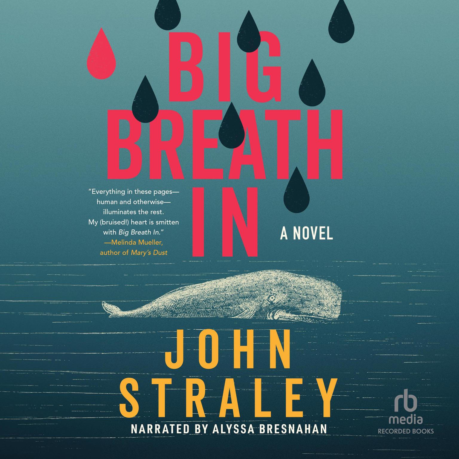 Big Breath In: A Novel Audiobook, by John Straley