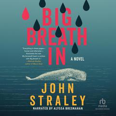 Big Breath In Audibook, by John Straley