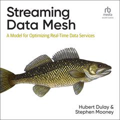 Streaming Data Mesh: A Model for Optimizing Real-Time Data Services Audiobook, by Hubert Dulay