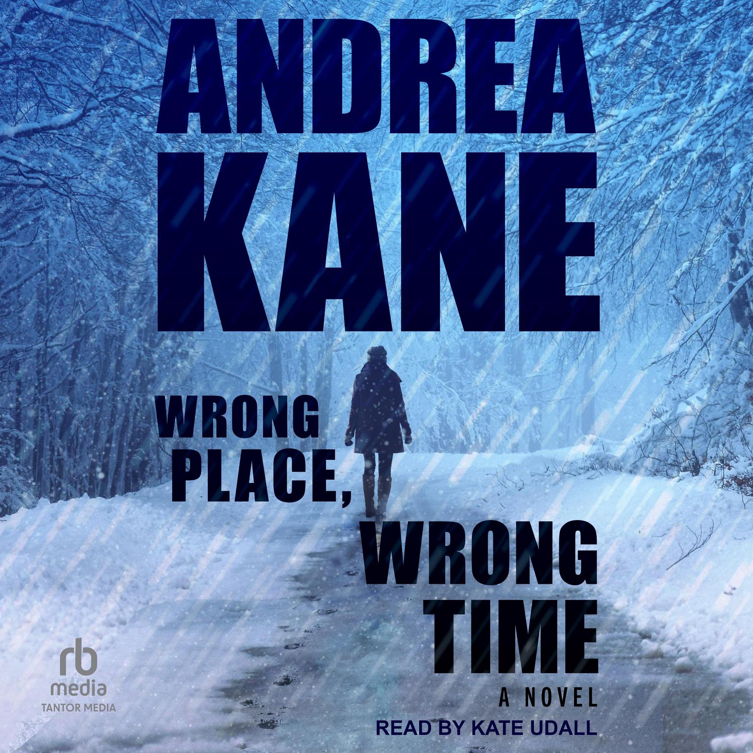 Wrong Place, Wrong Time Audiobook, by Andrea Kane