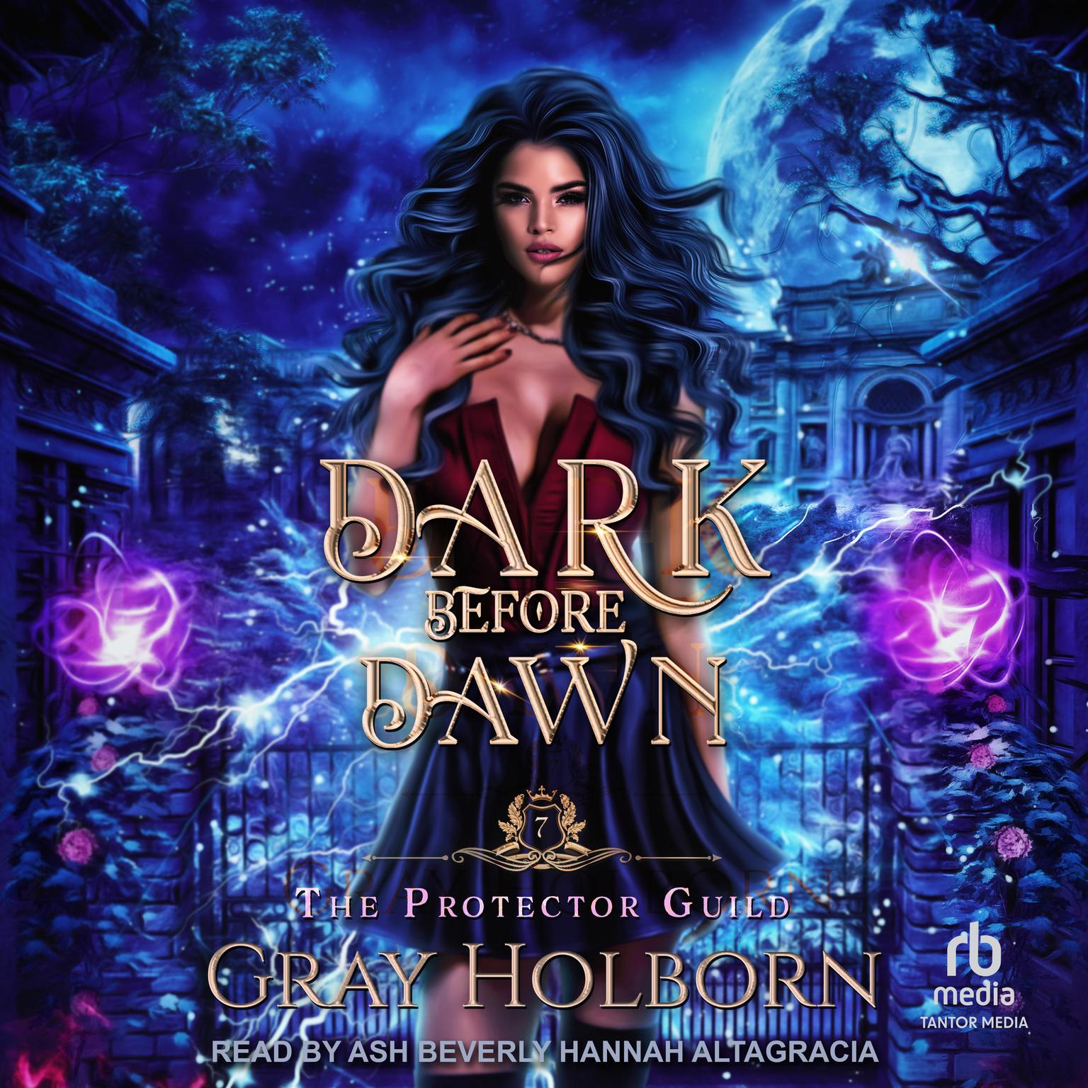 Dark Before Dawn Audiobook, by Gray Holborn