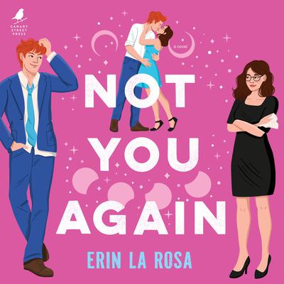 Not You Again Audibook, by Erin La Rosa