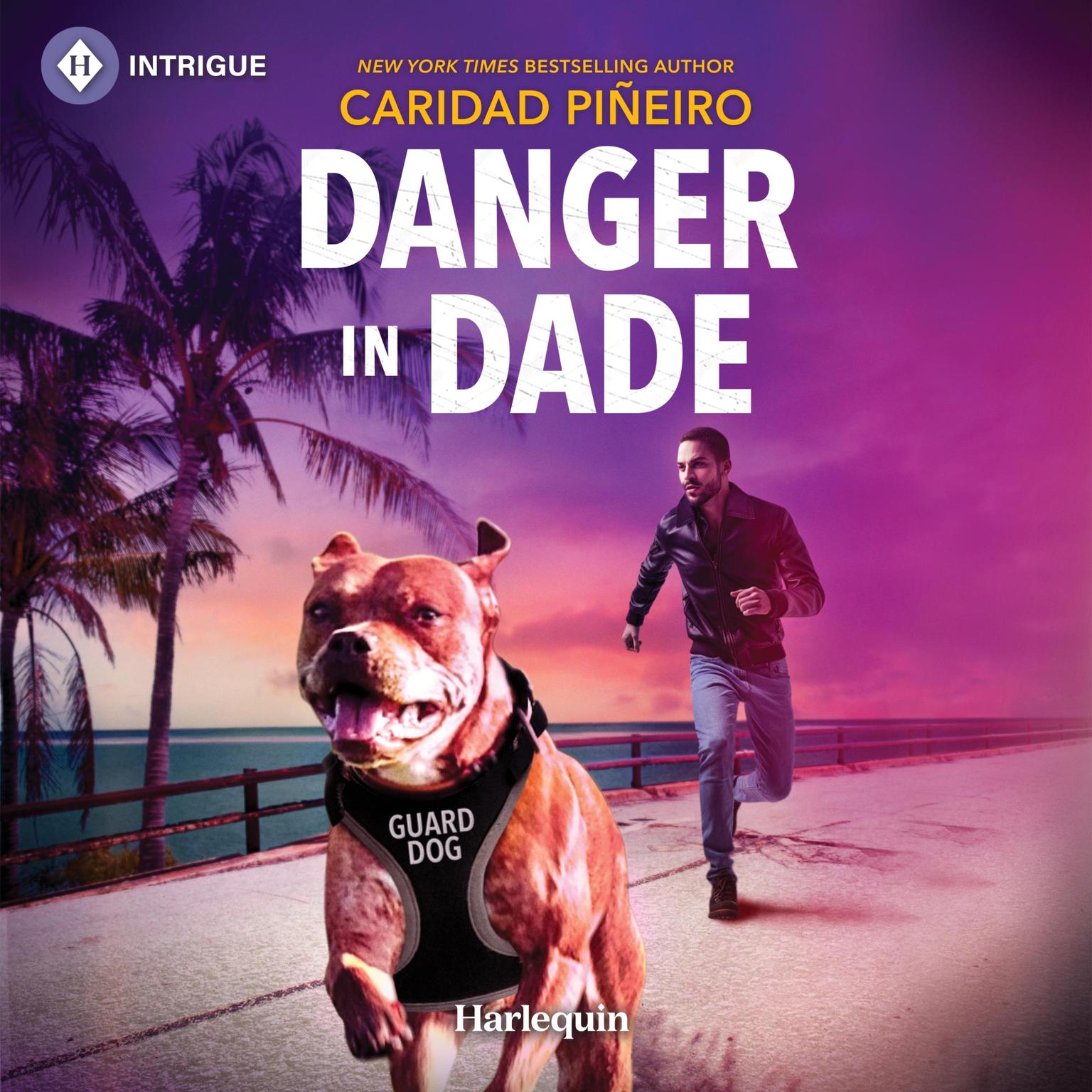 Danger in Dade Audiobook, by Caridad Pineiro