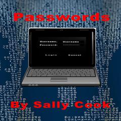 Passwords Audiobook, by Sally Cook