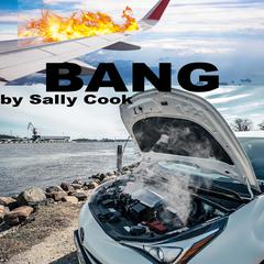 Bang Audiobook, by Sally Cook