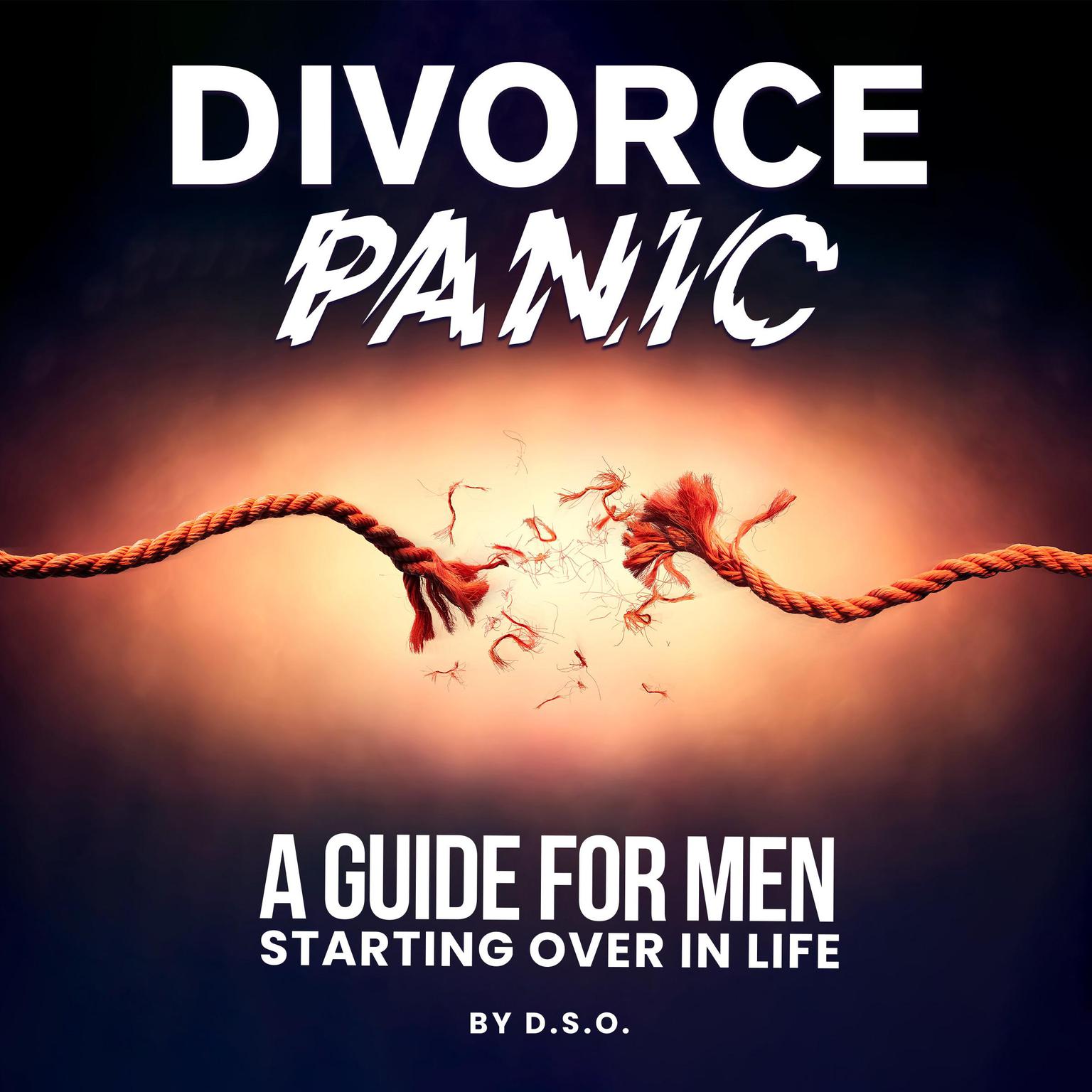 Divorce Panic: A Guide for Men Starting Over in Life Audiobook, by D.S.O.