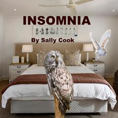 Insomnia Audiobook, by Sally Cook