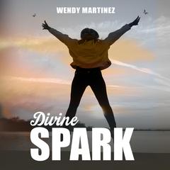 Divine Spark Audiobook, by Wendy Martinez
