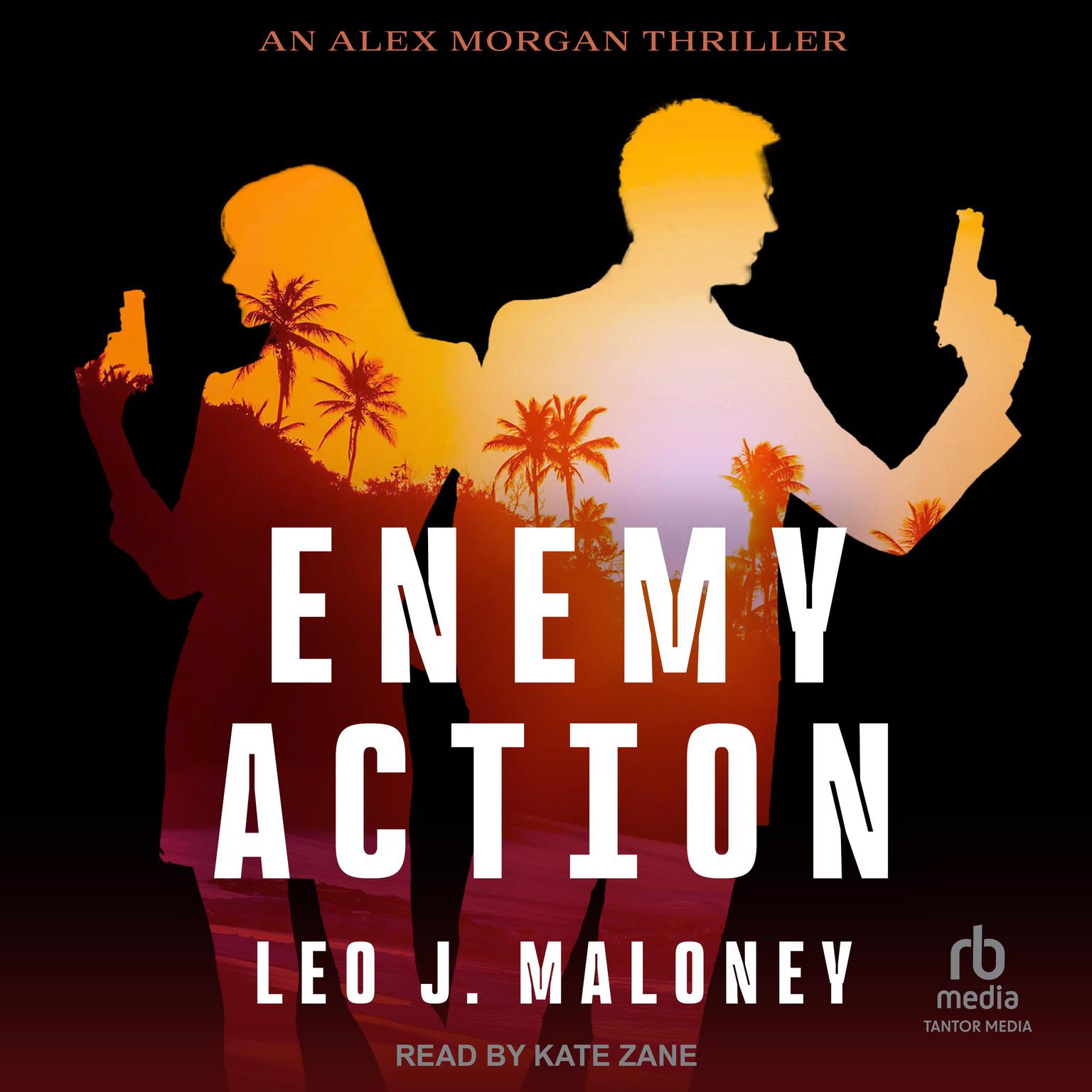 Enemy Action Audiobook, by Leo J. Maloney