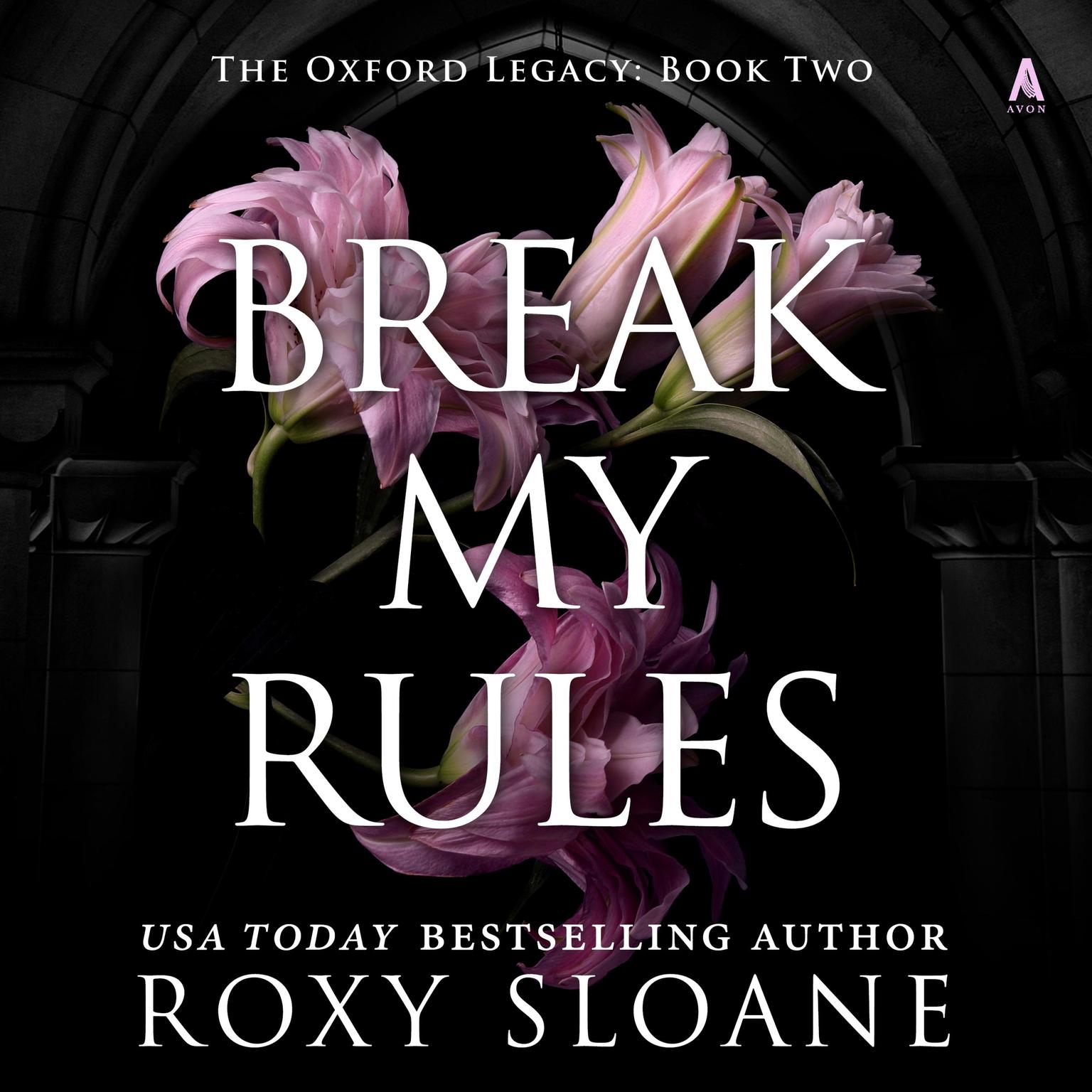 Break My Rules: A Novel Audiobook, by Roxy Sloane