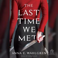 The Last Time We Met: A Novel Audiobook, by Anna E. Wahlgren