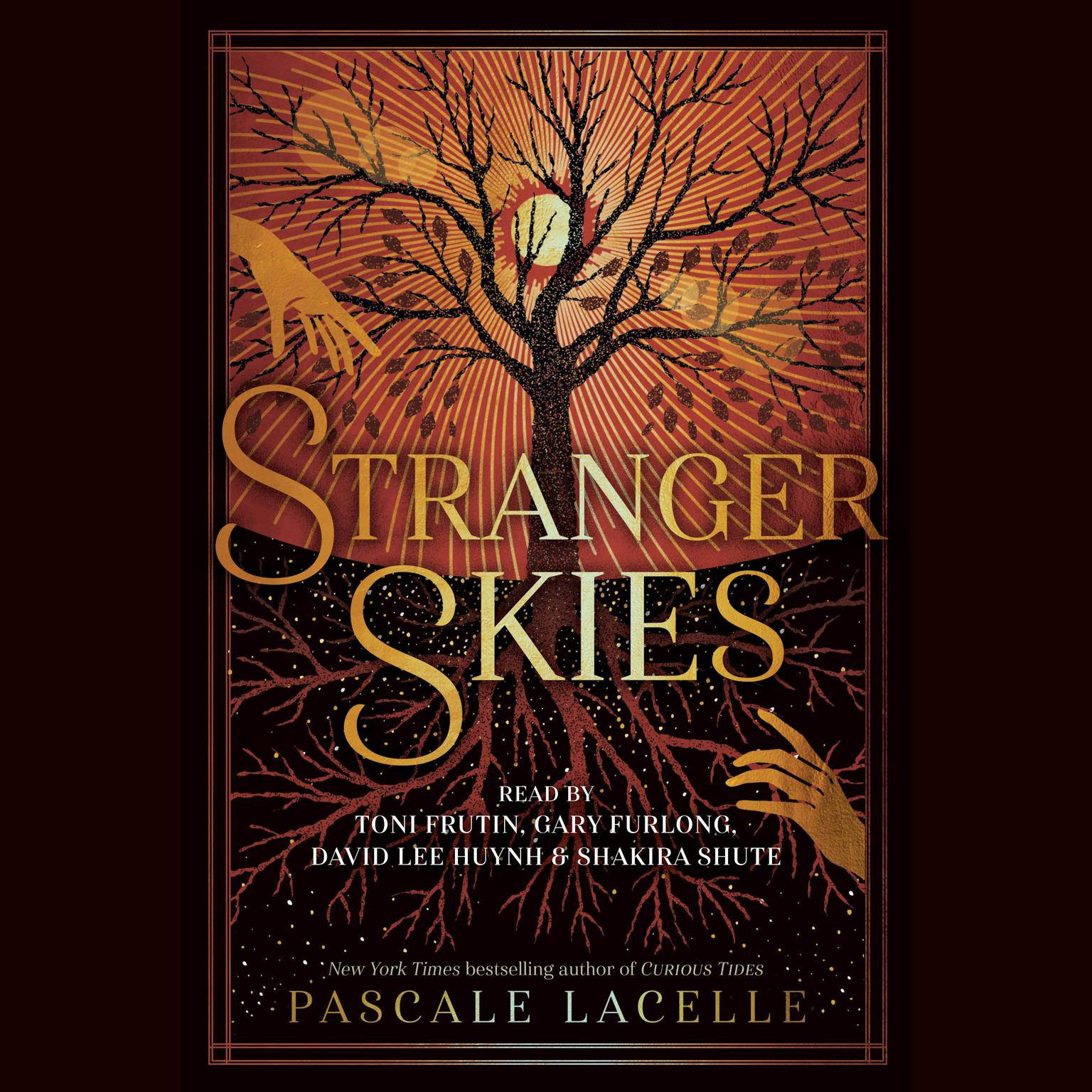 Stranger Skies Audiobook, by Pascale Lacelle