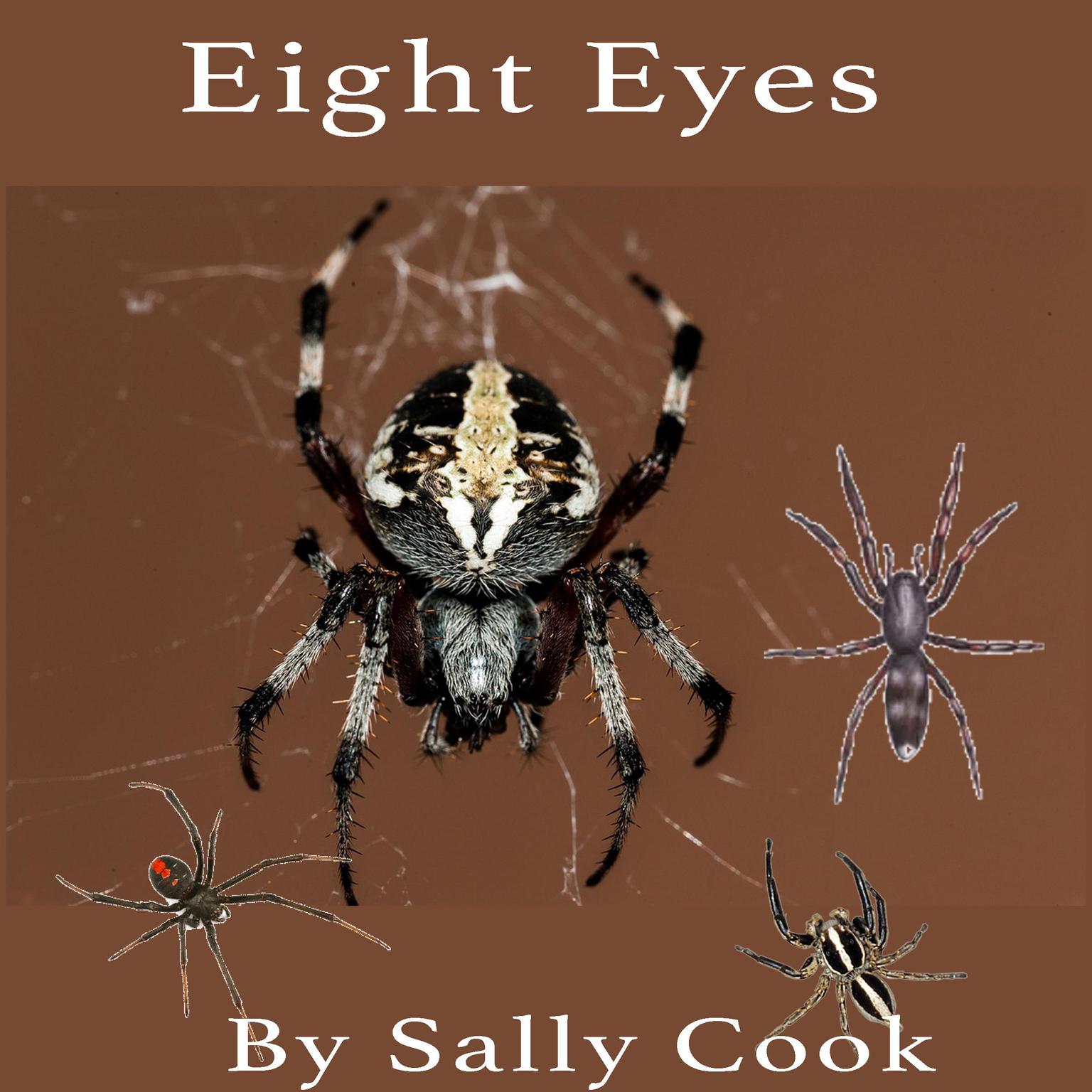 Eight Eyes Audiobook, by Sally Cook