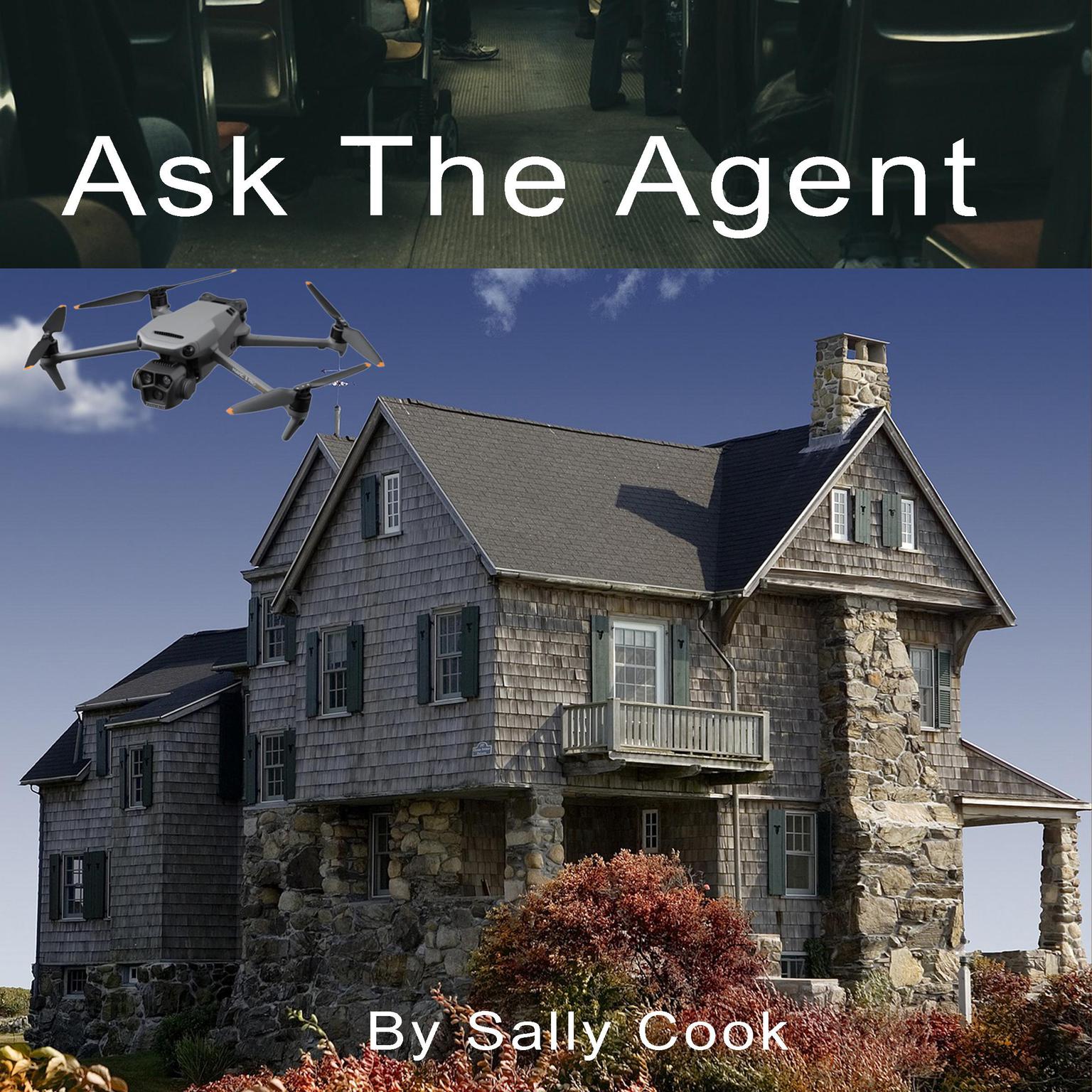 Ask The Agent Audiobook, by Sally Cook