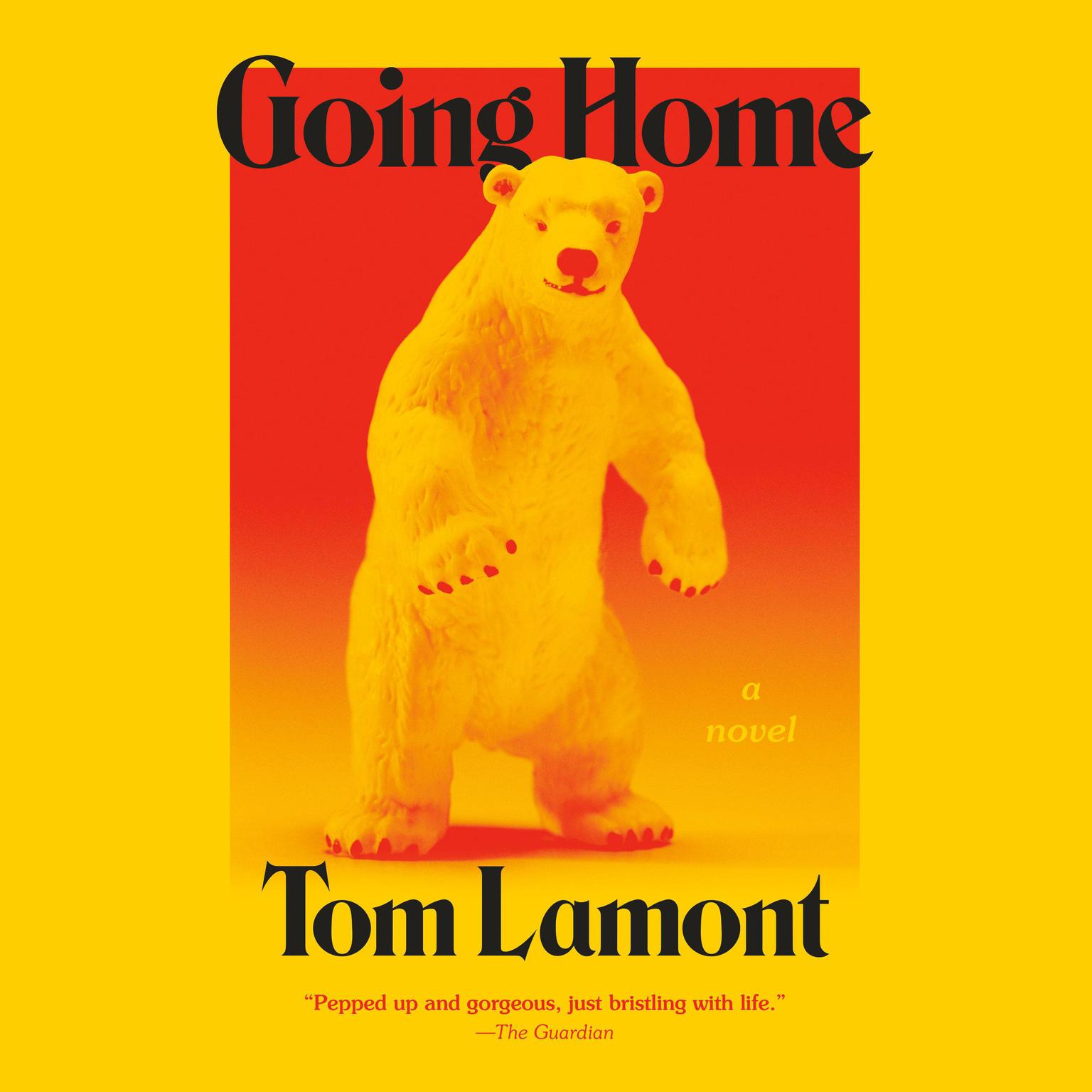 Going Home: A Novel Audiobook, by Tom Lamont