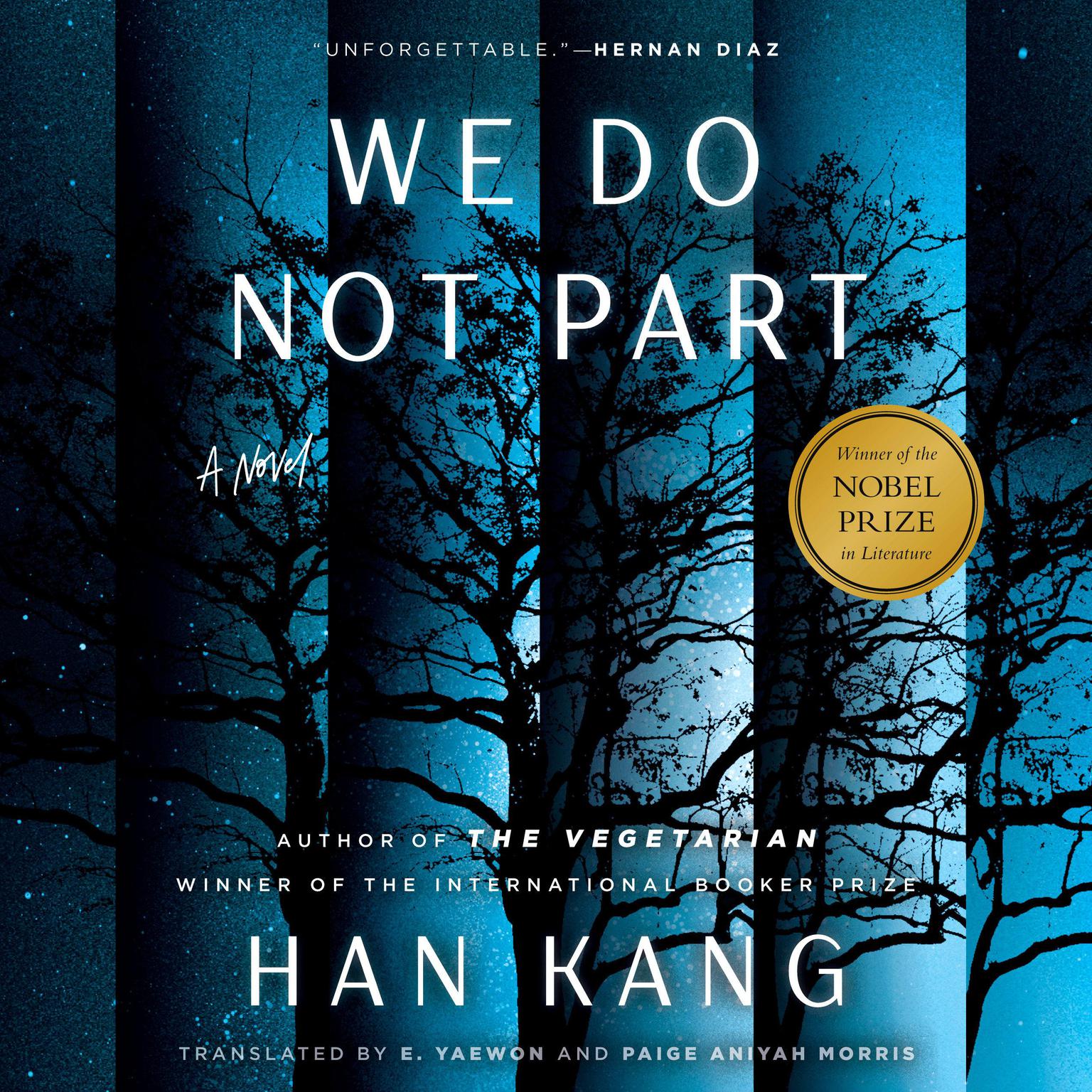 We Do Not Part: A Novel Audiobook, by Han Kang