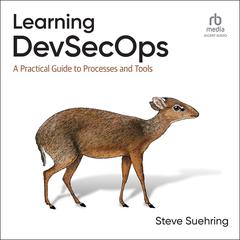 Learning DevSecOps: A Practical Guide to Processes and Tools Audiobook, by Steve Suehring