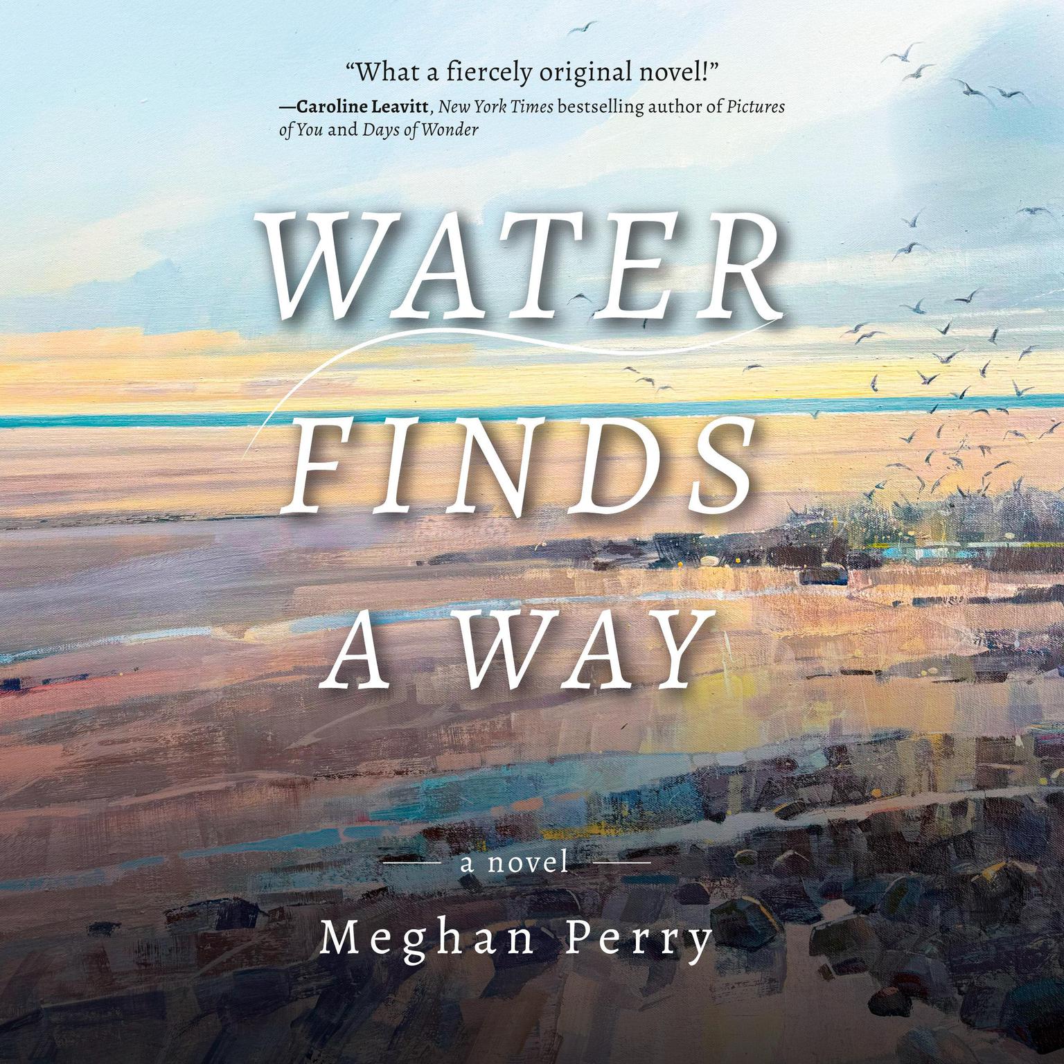 Water Finds a Way: a novel Audiobook, by Meghan Perry