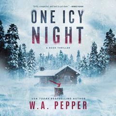 One Icy Night: A Rook Thriller Audiobook, by W. A. Pepper