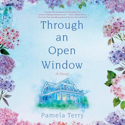 Through An Open Window: A Novel Audibook, by Pamela Terry