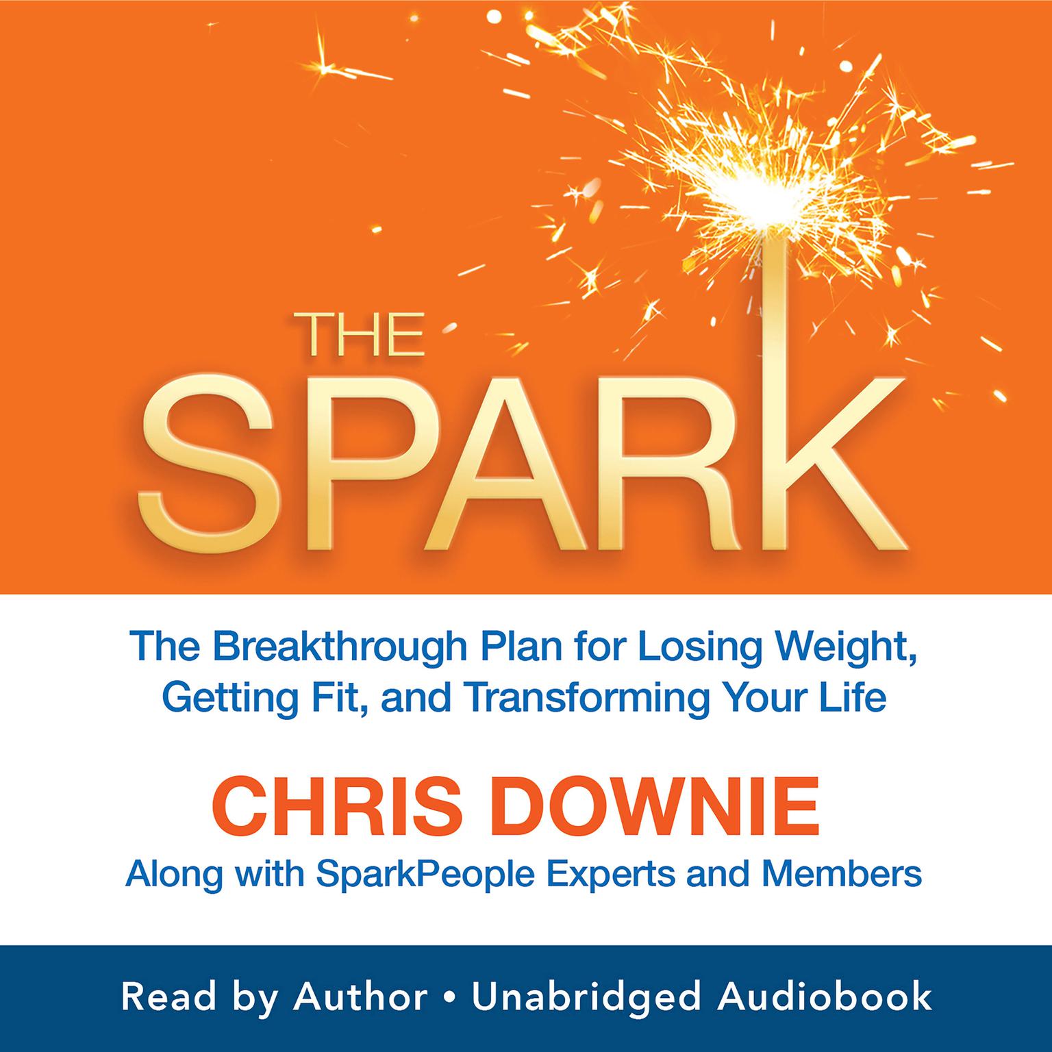 The Spark (Abridged) Audiobook, by Chris Downie