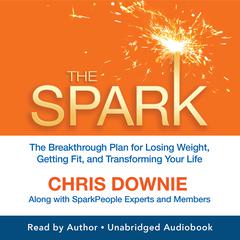 The Spark Audibook, by Chris Downie