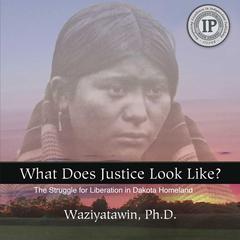 What Does Justice Look Like?: The Struggle for Liberation in Dakota Homeland Audiobook, by Waziyatawin Ph.D.