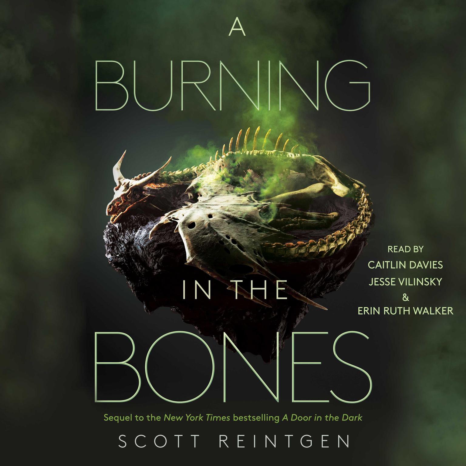 A Burning in the Bones Audiobook, by Scott Reintgen