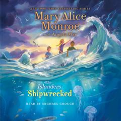 Shipwrecked Audiobook, by Mary Alice Monroe