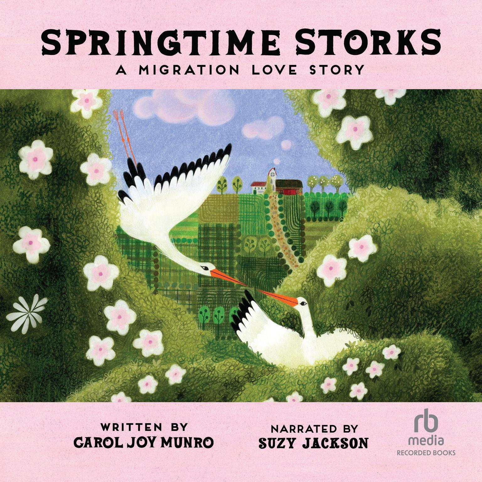 Springtime Storks: A Migration Love Story Audiobook, by Carol Joy Munro