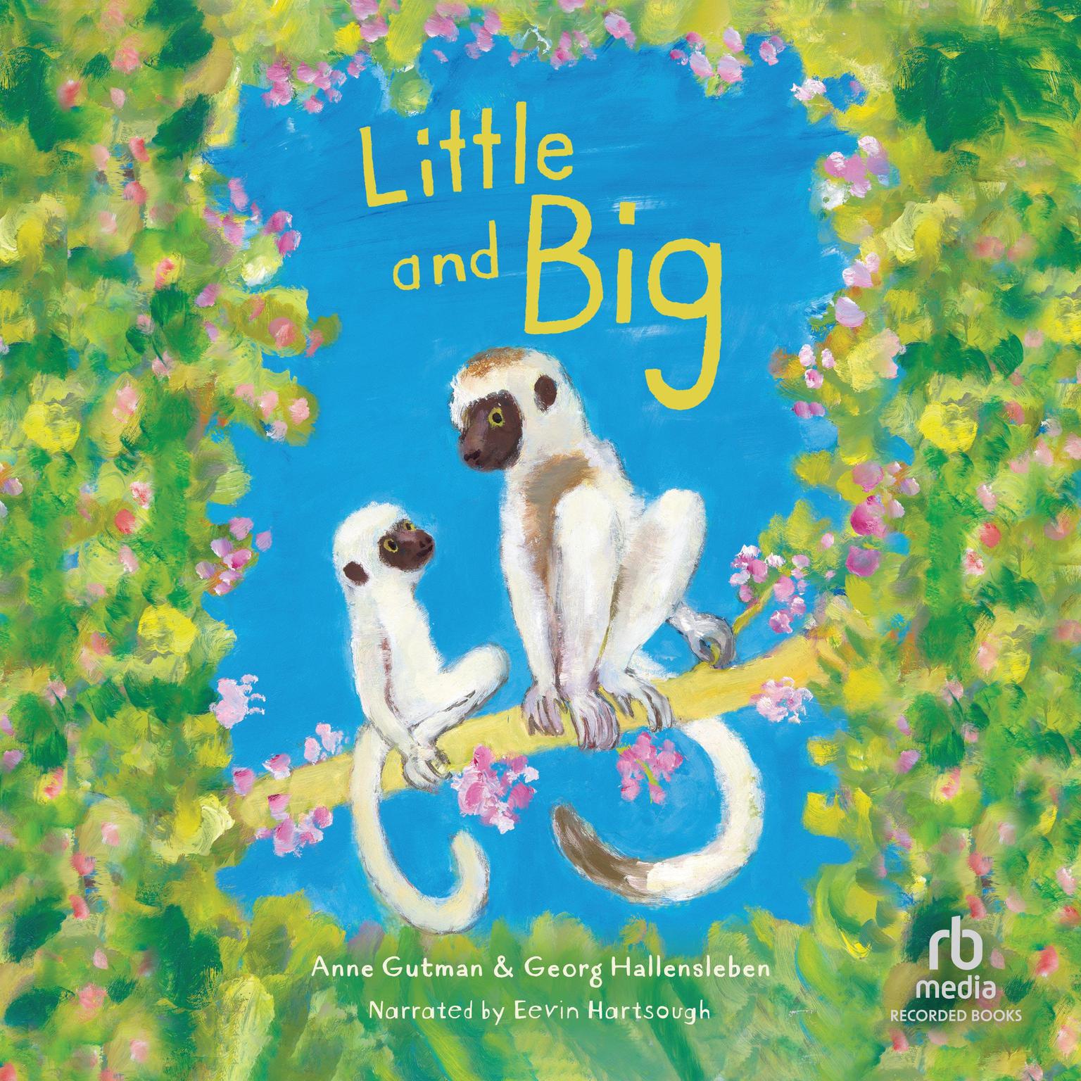 Little and Big Audiobook, by Anne Gutman