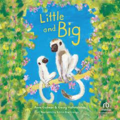 Little and Big Audibook, by Anne Gutman